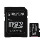 Kingston Carte mémoire Kingston Canvas Select Plus 256 Go noire