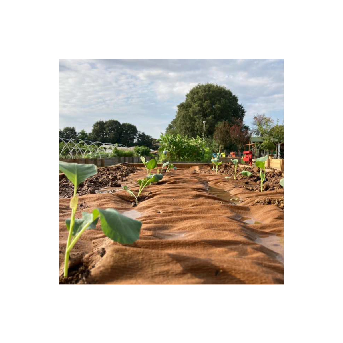 KZ GARDEN Toile de paillage Agricole 0.4 x 100m Autodégradable 2en1 Engrais et Anti mauvaises herbes 100% Cellulose