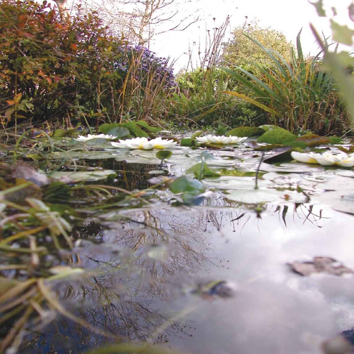 UBBINK Kit complet pour bassin enterré 2000 litres