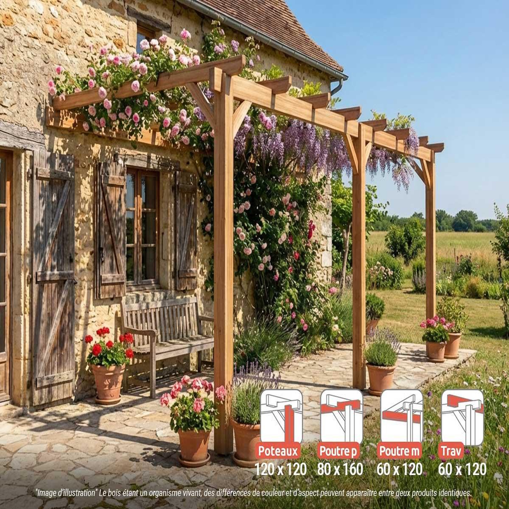 JARDIDECO Pergola adossée en lamellé-collé versailles 600 x 300 cm - maderland