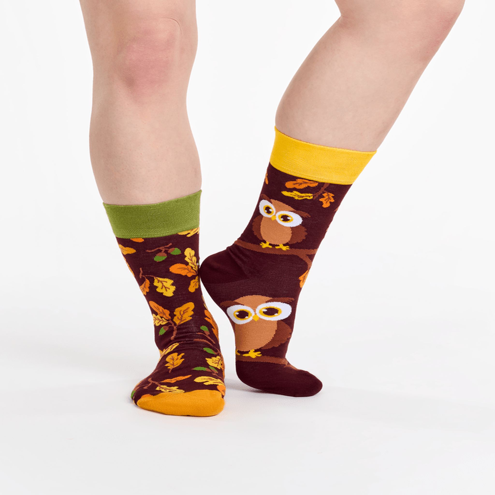 Voir la diapositive 2 : DEDOLES Chaussettes hibou curieux