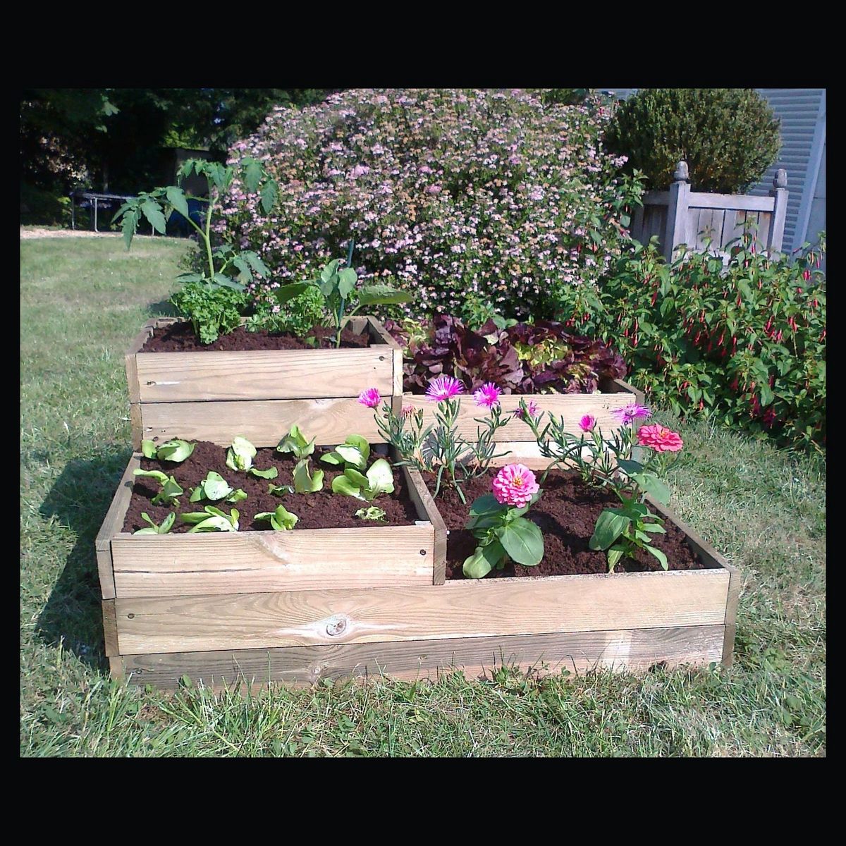 GARDENSTAR Carré potager modulable 80x80