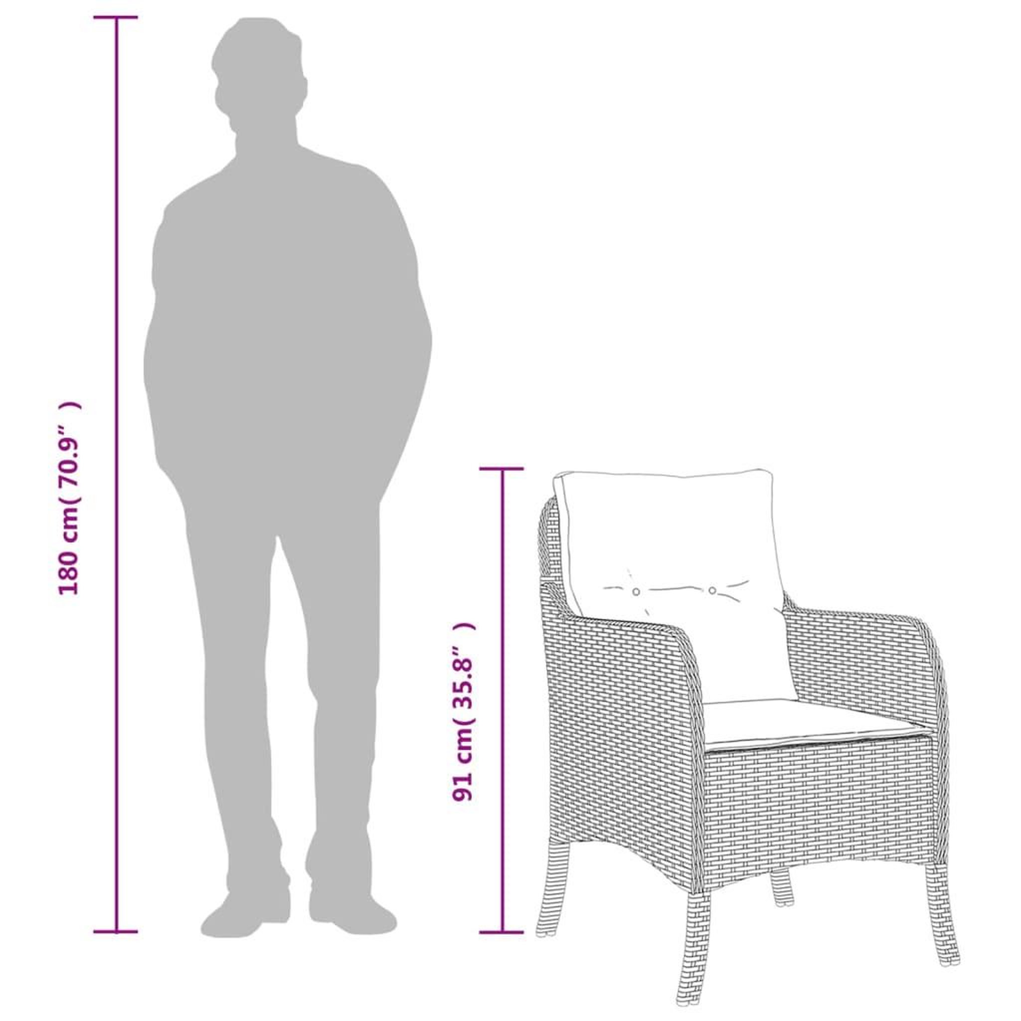 Voir la diapositive 6 : VIDAXL Chaises de jardin avec coussins lot de 2 melange beige rotin