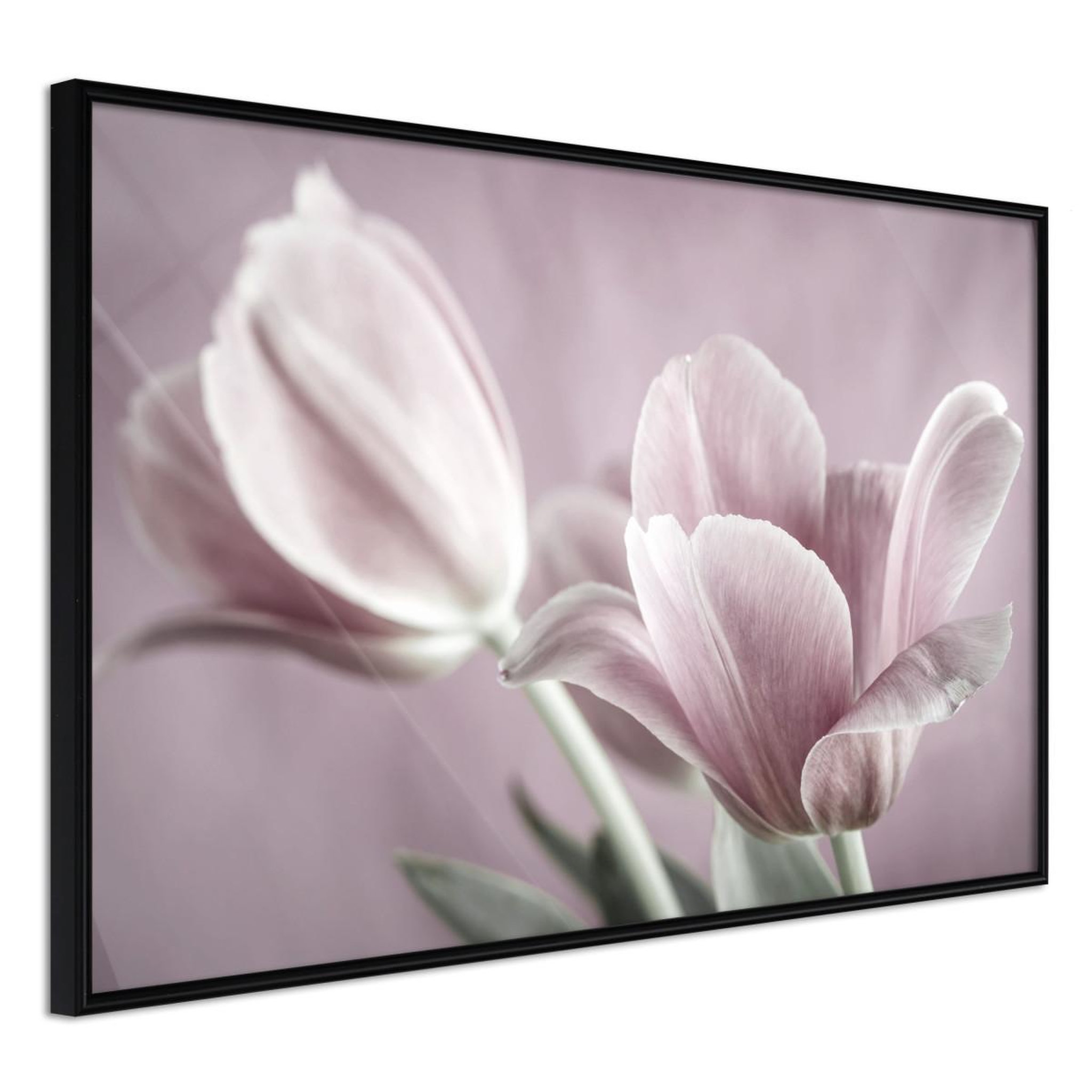 Paris Prix Affiche murale encadrée  pastel tulips i