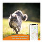 Voir la diapositive 4 : WEENECT Traceur GPS pour Chat - Weenect XS (White Edition 2023)