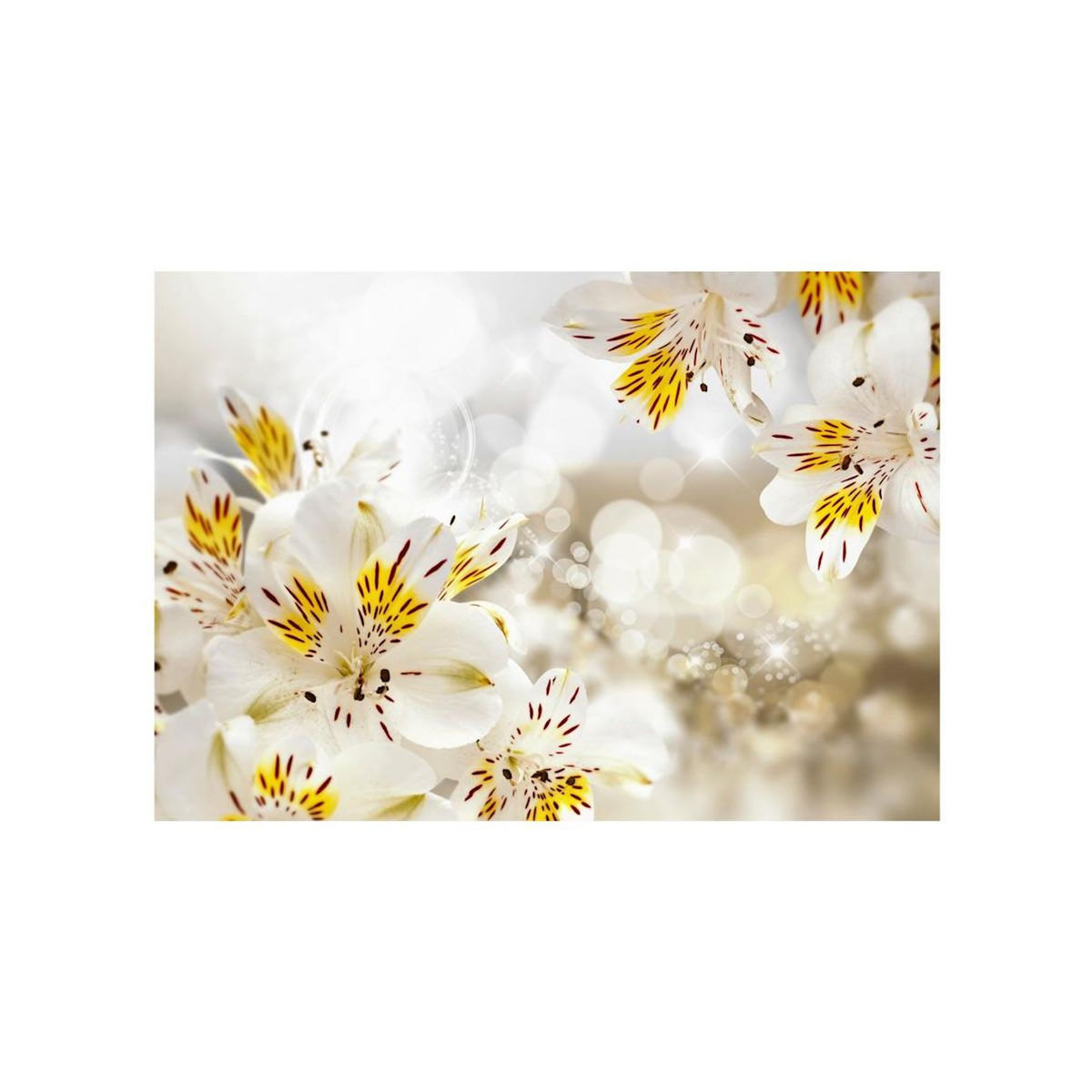 Paris Prix Papier Peint  Sunny Alstroemeria