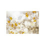 Voir la diapositive 2 : Paris Prix Papier Peint  Sunny Alstroemeria