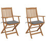 Voir la diapositive 1 : VIDAXL Chaises pliables de jardin lot de 2 avec coussins Bois d'acacia