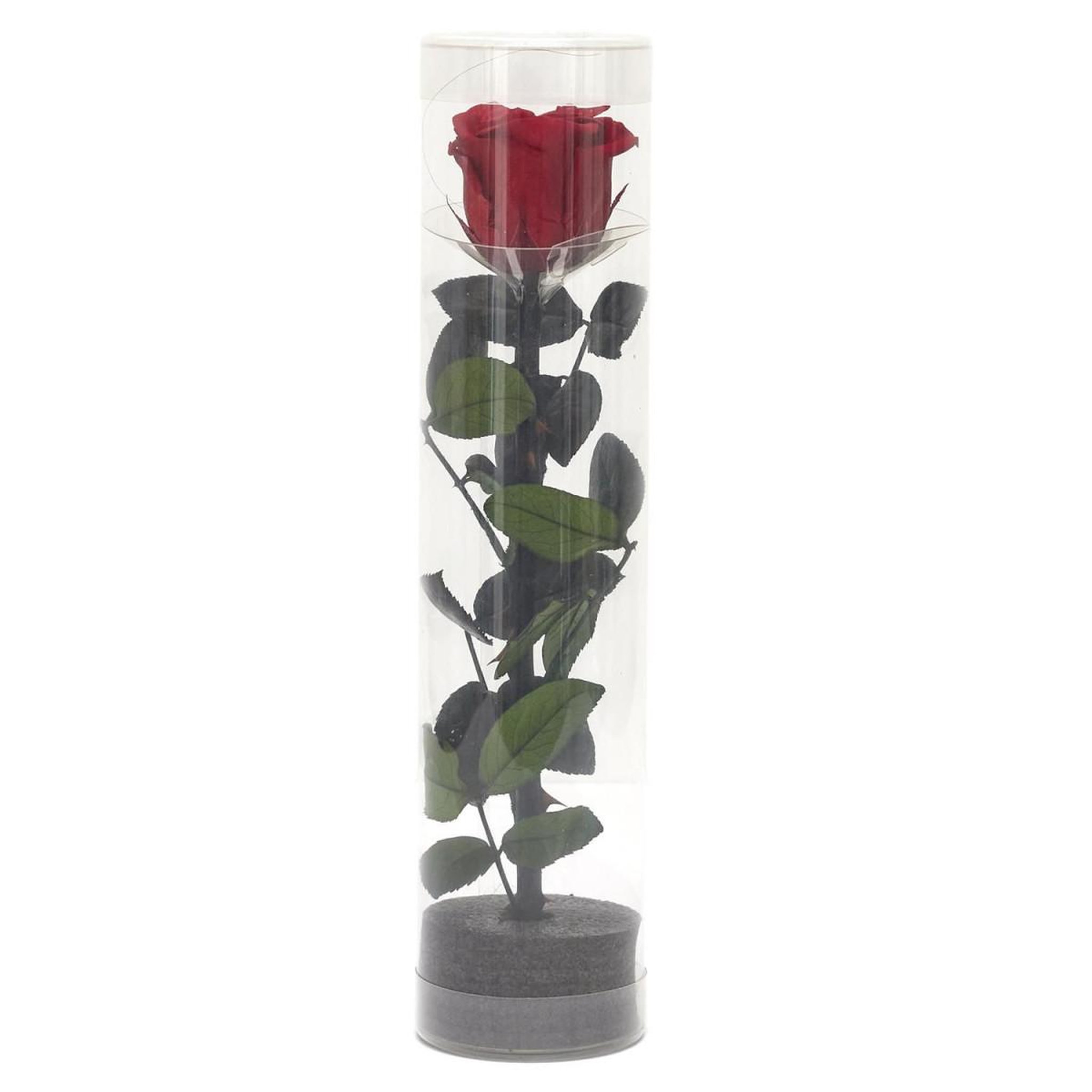 Voir la diapositive 2 : The Home Deco Factory Fleur artificielle  rose sur tige  30cm vert & rouge