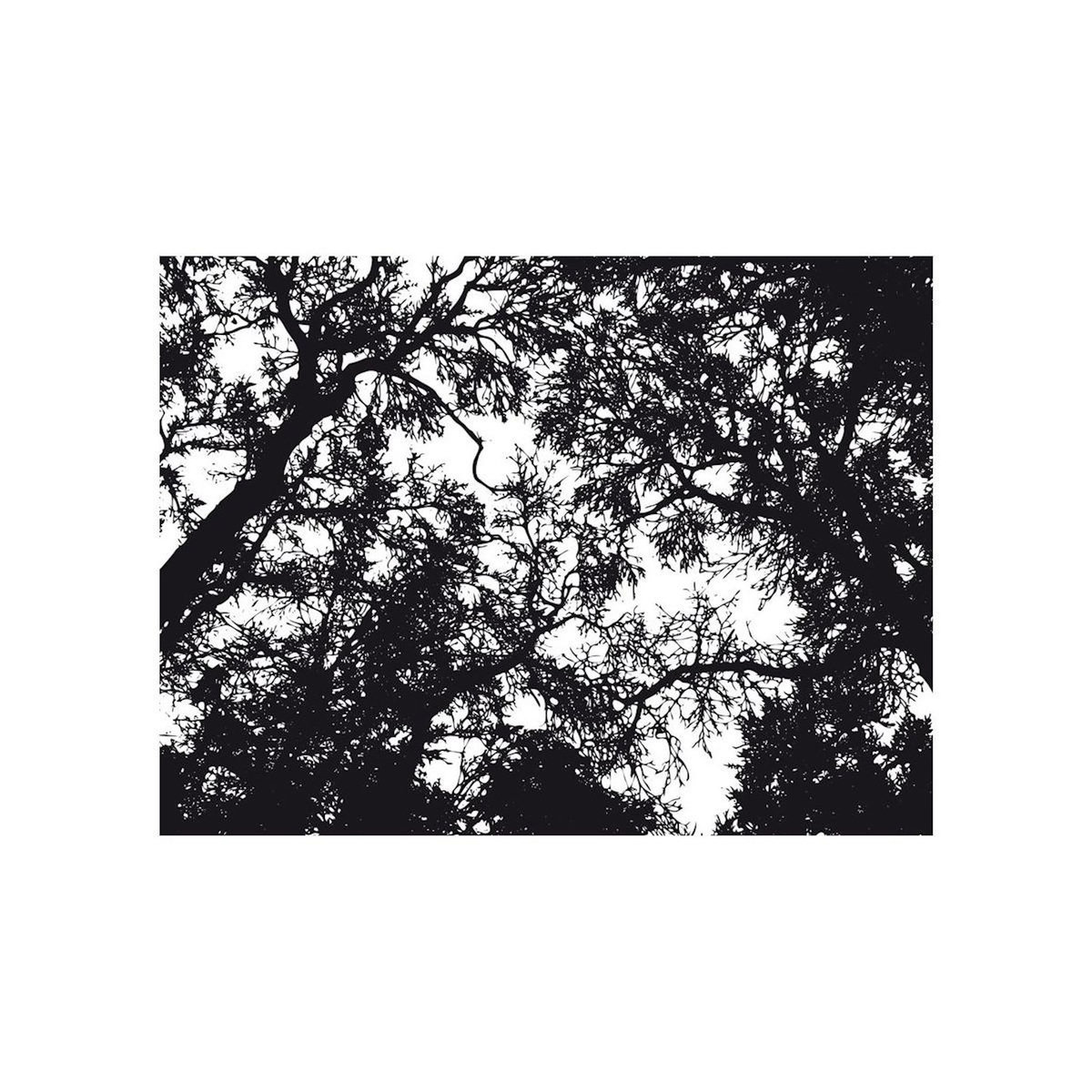 Paris Prix Papier Peint  Bleak Forest