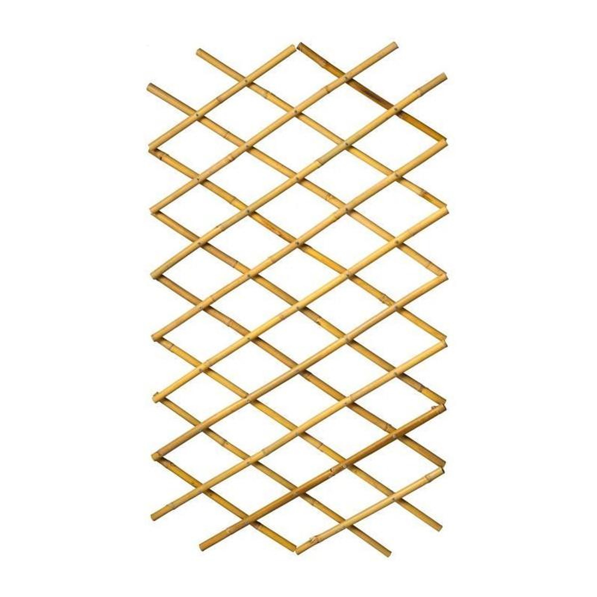 Voir la diapositive 5 : NATURE NATURE Treillis extensible en bambou 45x180cm - Marron