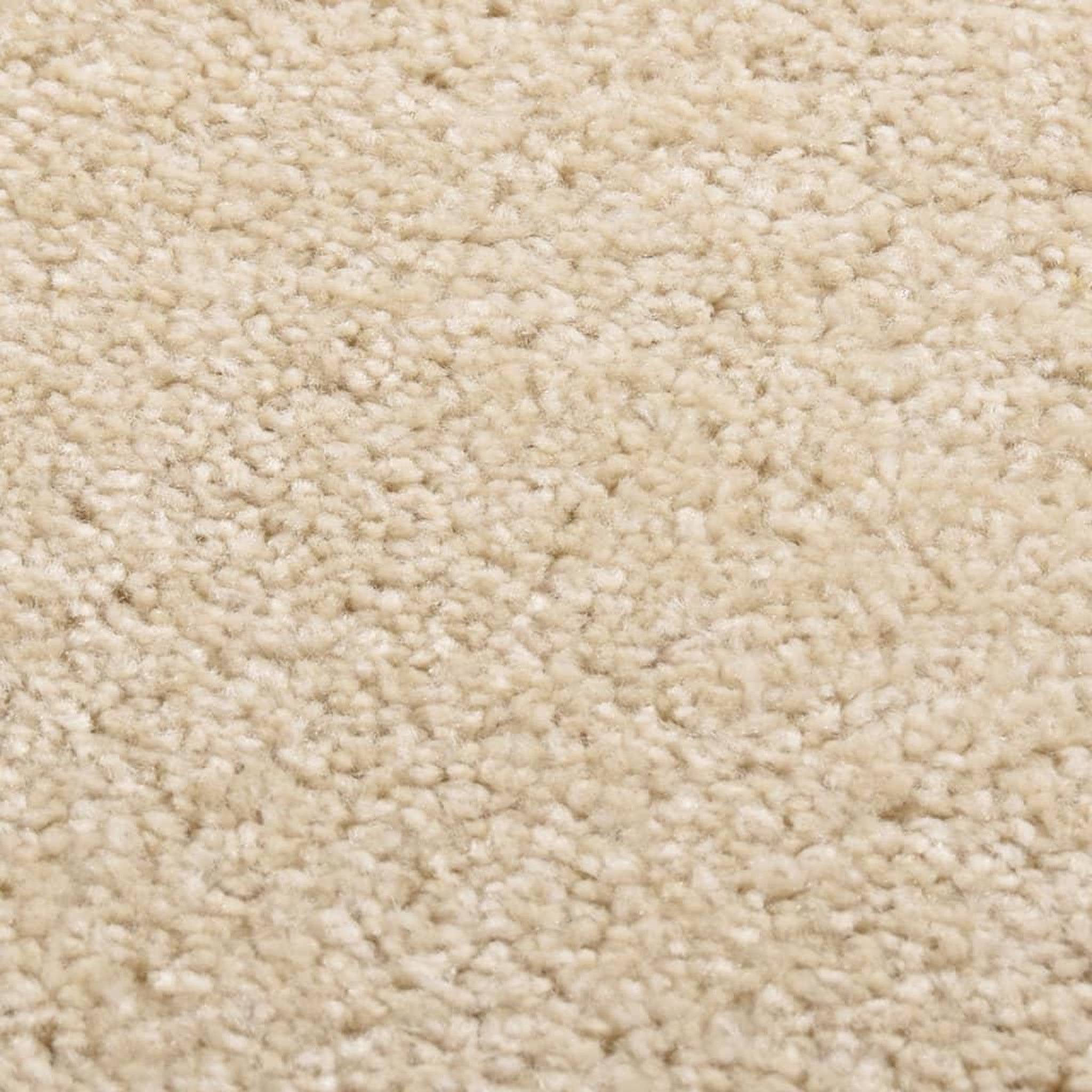 Voir la diapositive 2 : VIDAXL Tapis a poils courts 80x150 cm Beige