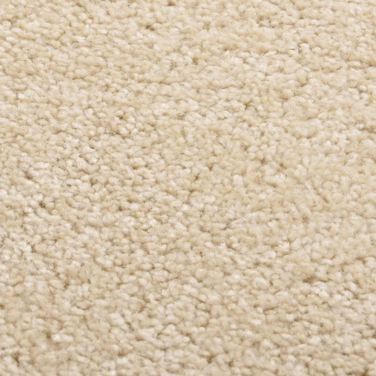 VIDAXL Tapis a poils courts 80x150 cm Beige