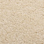 Voir la diapositive 2 : VIDAXL Tapis a poils courts 80x150 cm Beige