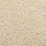 Voir la diapositive 2 : VIDAXL Tapis a poils courts 80x150 cm Beige
