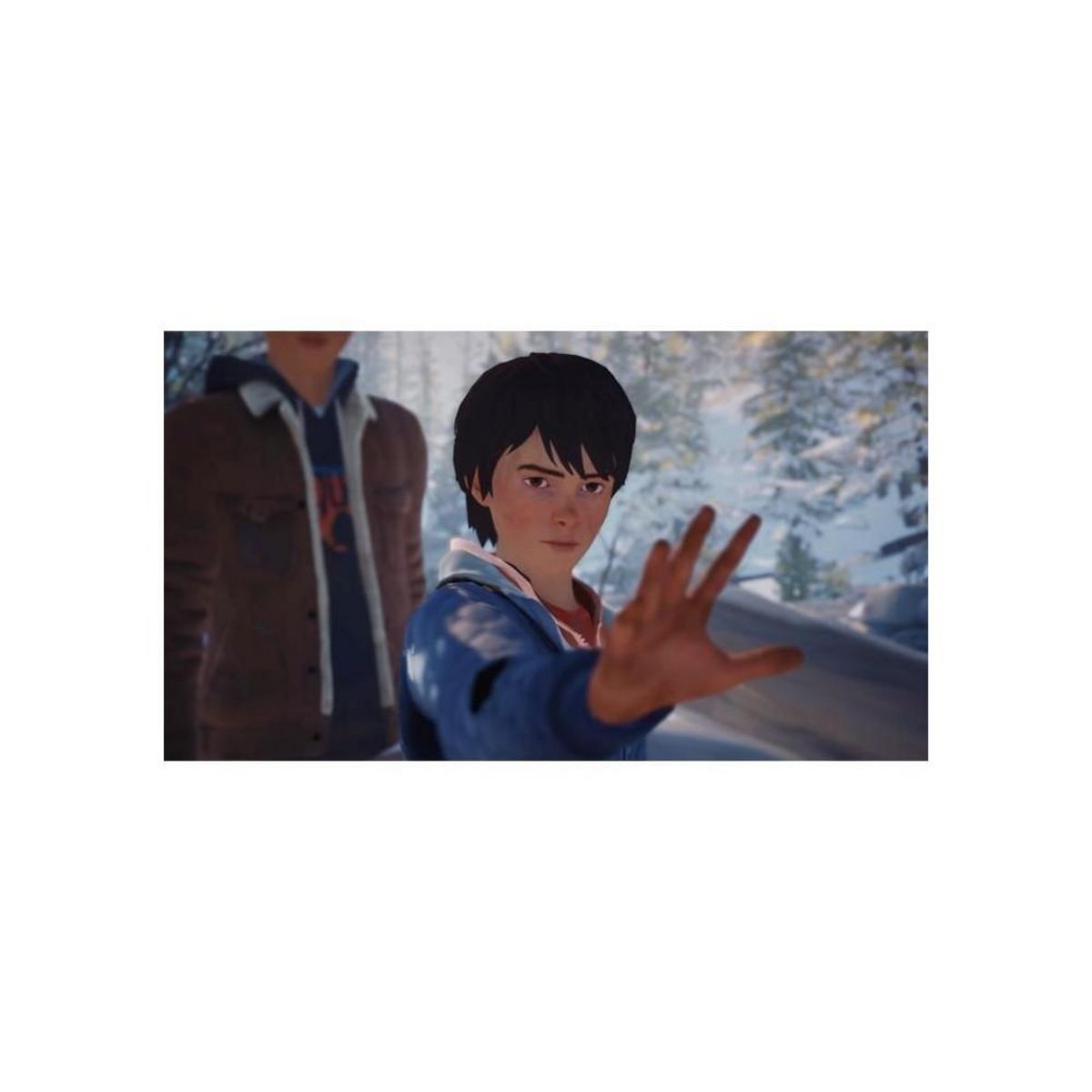 SQUARE ENIX Life Is Strange 2 - Jeu Nintendo Switch - Code in a box