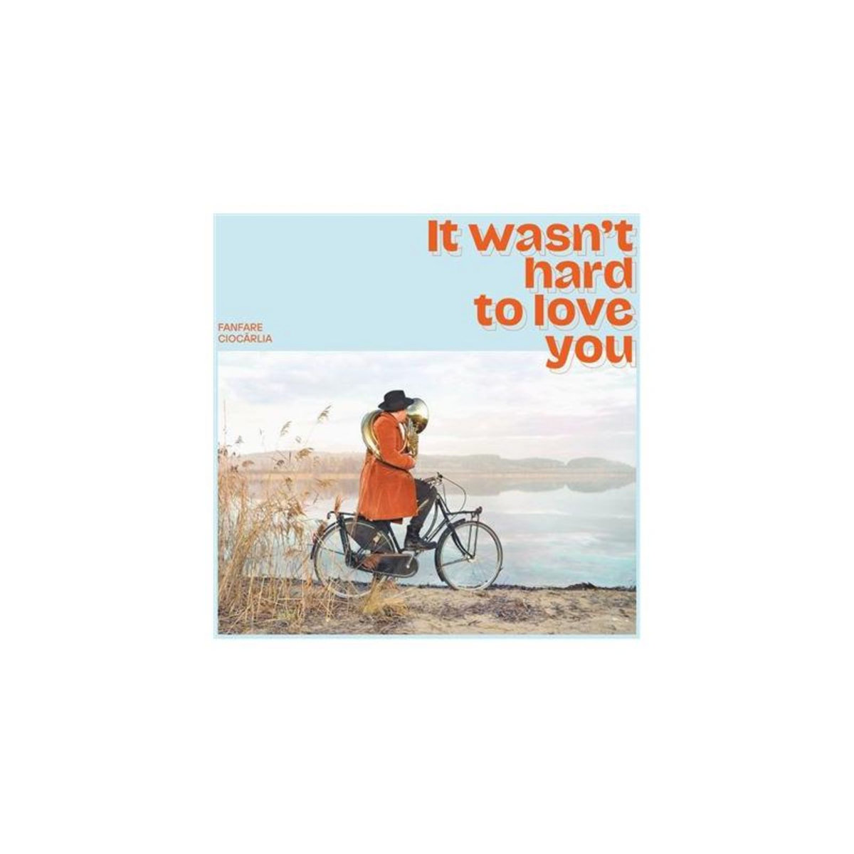 It Wasn t Hard To Love You