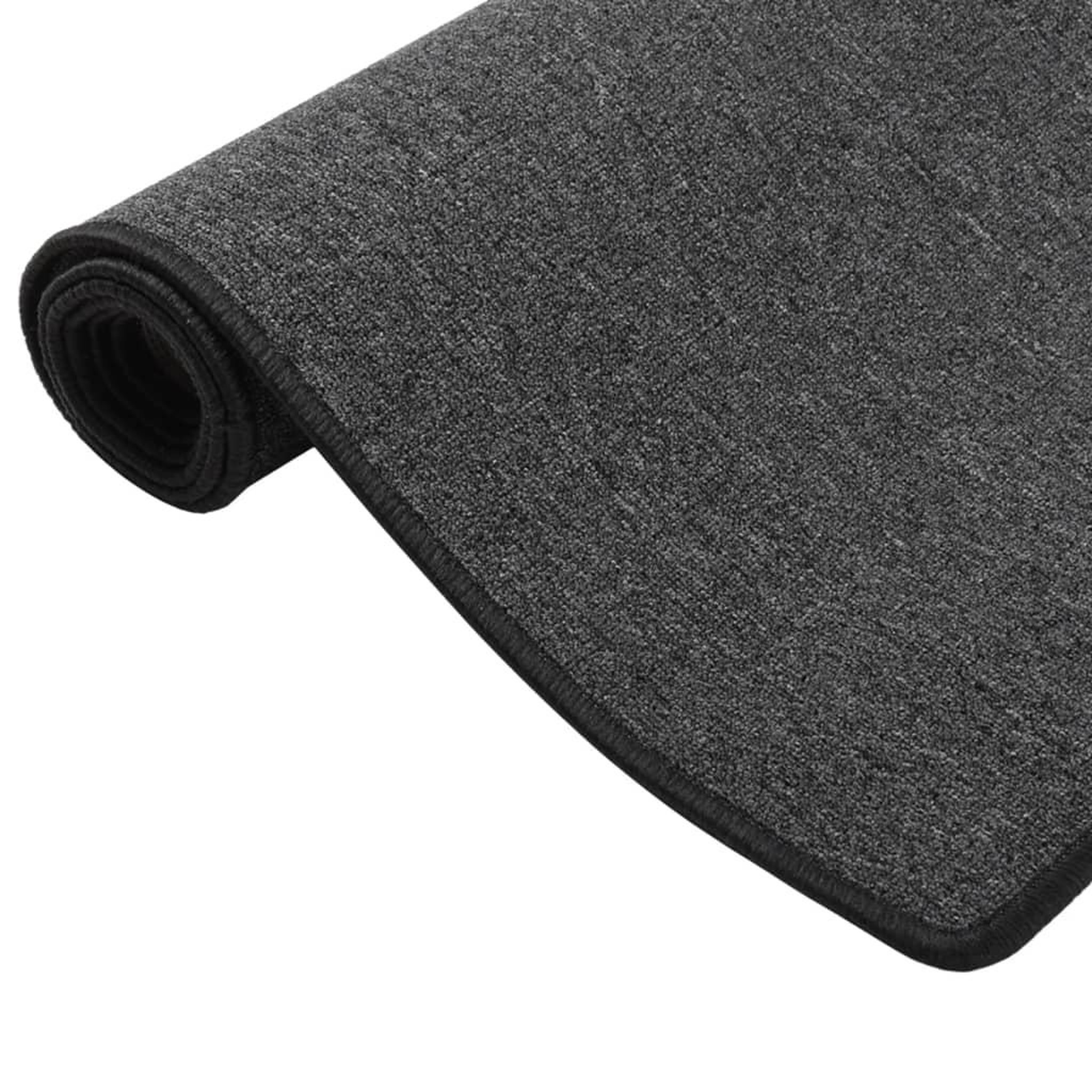 Voir la diapositive 2 : VIDAXL Tapis de couloir Anthracite 50x100 cm