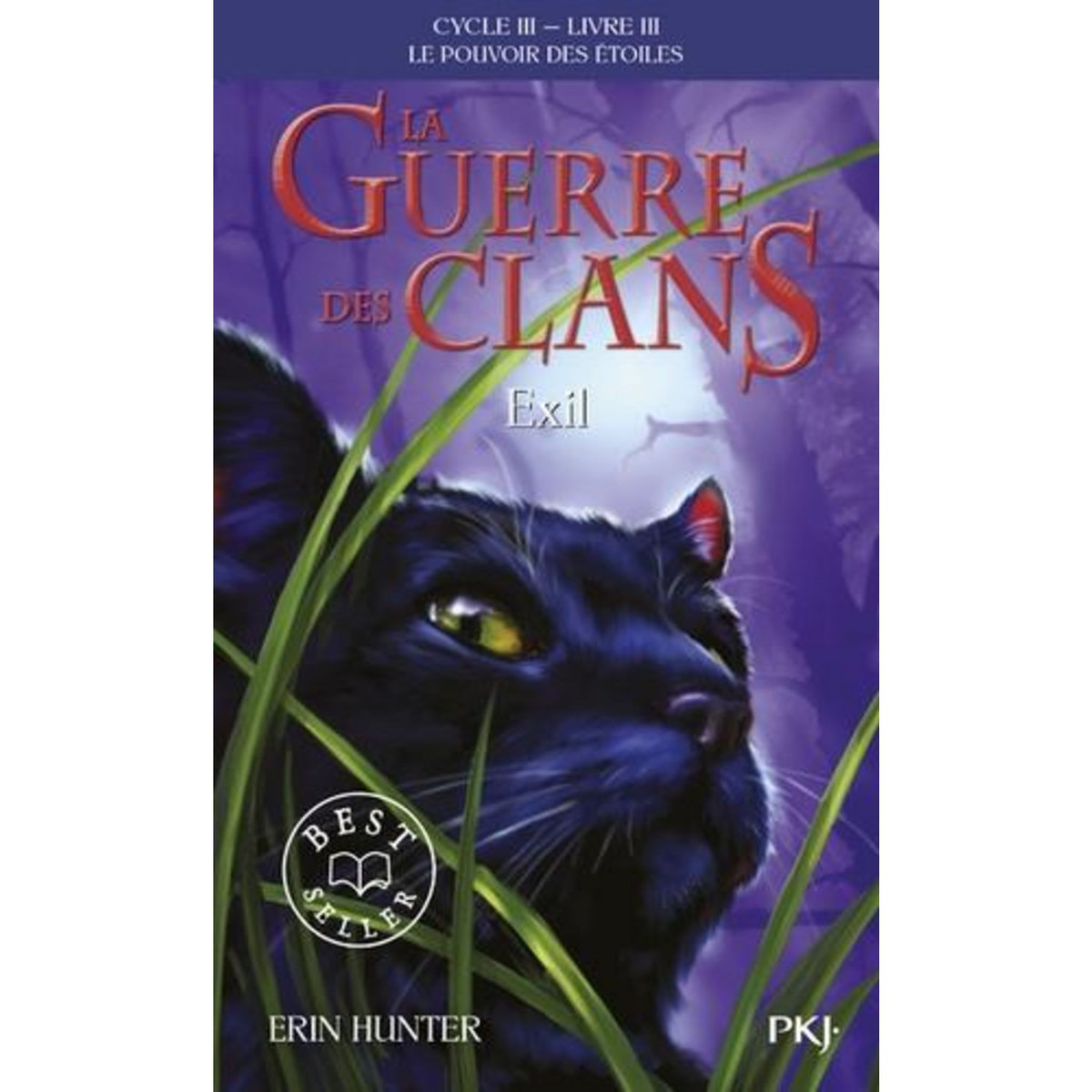 LA GUERRE DES CLANS : LE POUVOIR DES ETOILES (CYCLE III) TOME 3 : EXIL, Hunter Erin