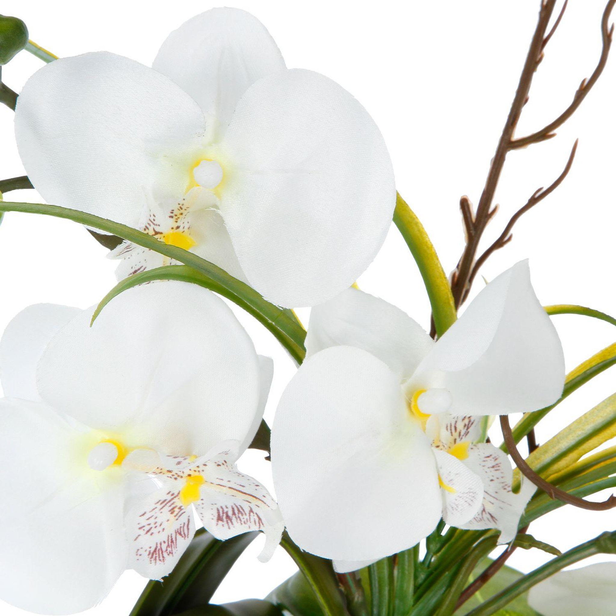 Voir la diapositive 2 : ATMOSPHERA Composition florale vase  - hauteur 44 cm - orchidée