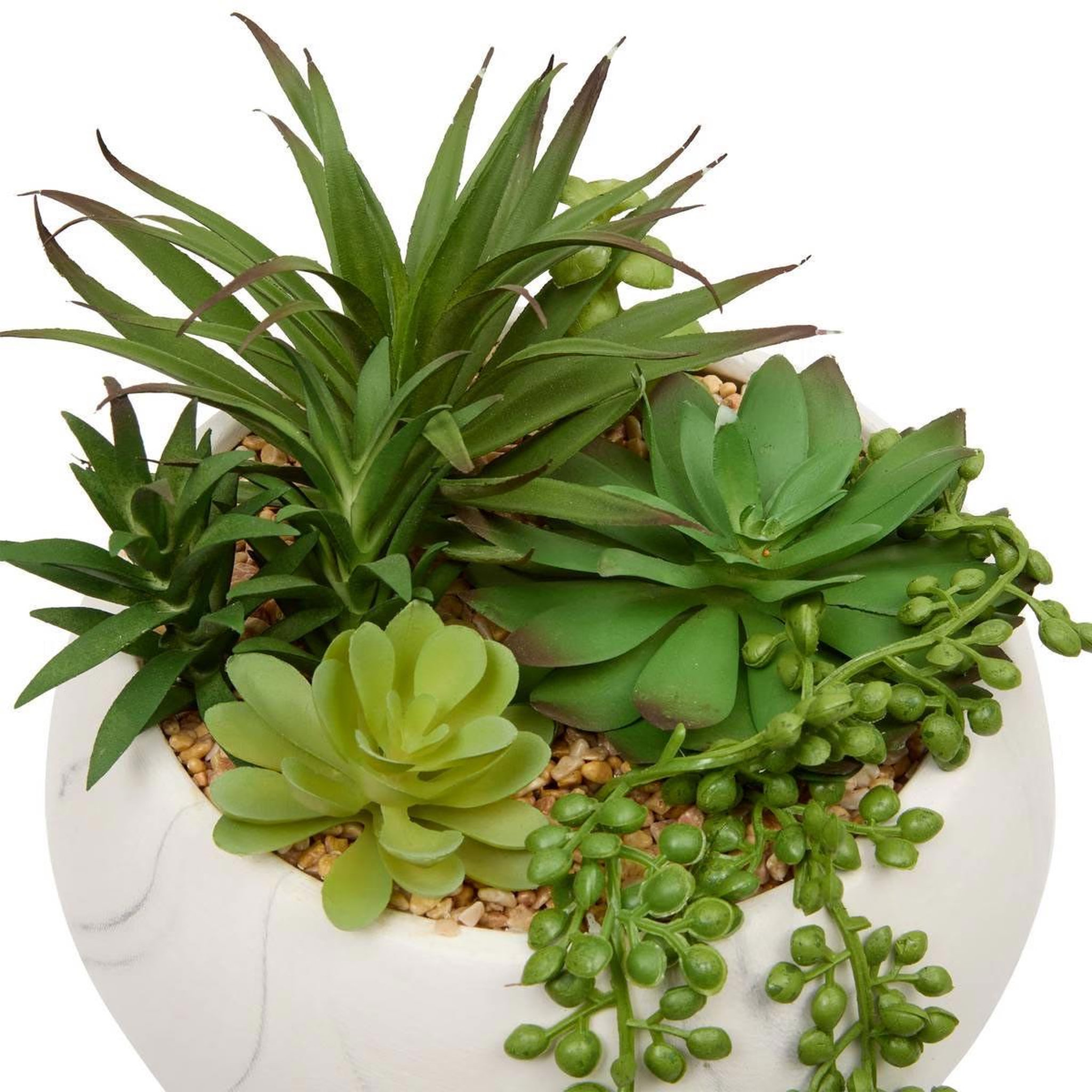 Voir la diapositive 2 : ATMOSPHERA Plante grasse artificielle  jesty  21cm multicolore