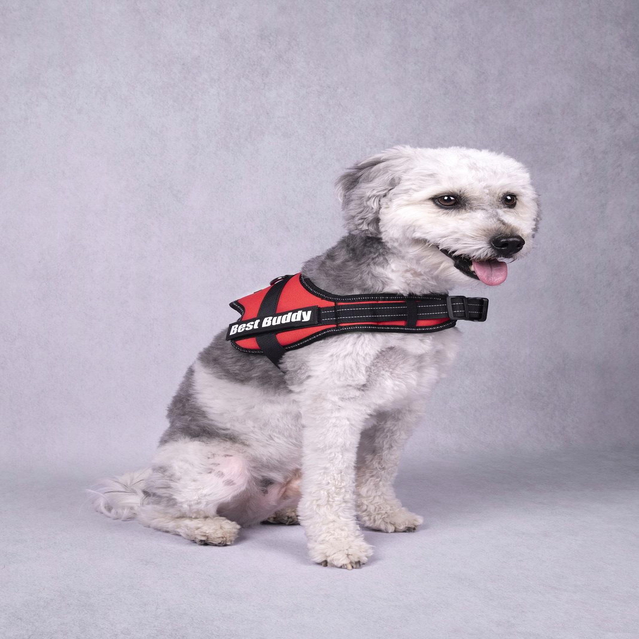 Voir la diapositive 4 : Eden Harnais réglable pour chien pluto