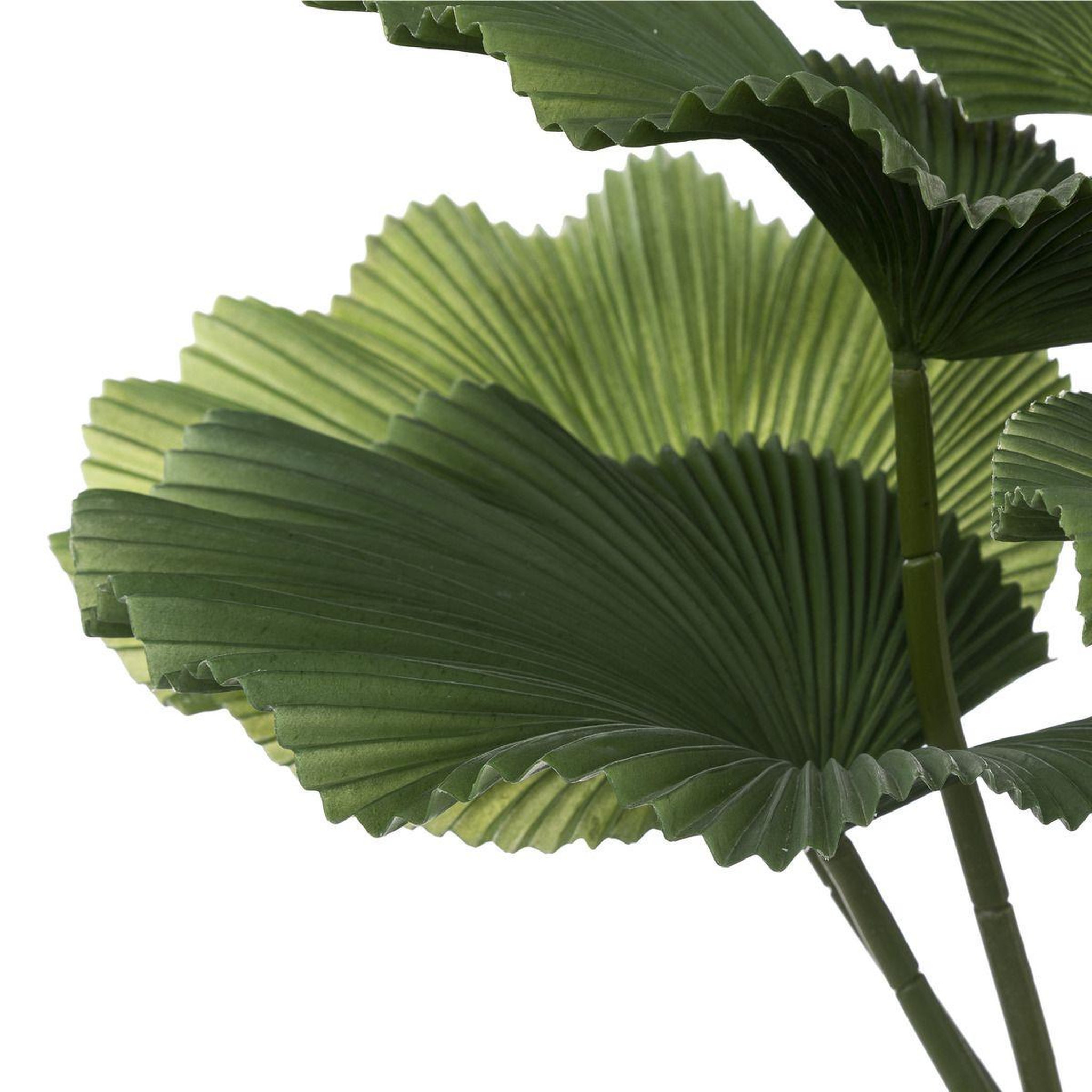Voir la diapositive 2 : ATMOSPHERA Plante artificielle déco  palmier  65cm vert & noir