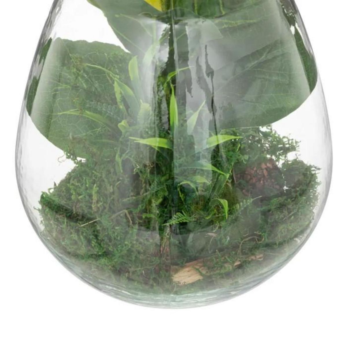 ATMOSPHERA Terrarium en Verre  Bota  29cm Transparent & Vert