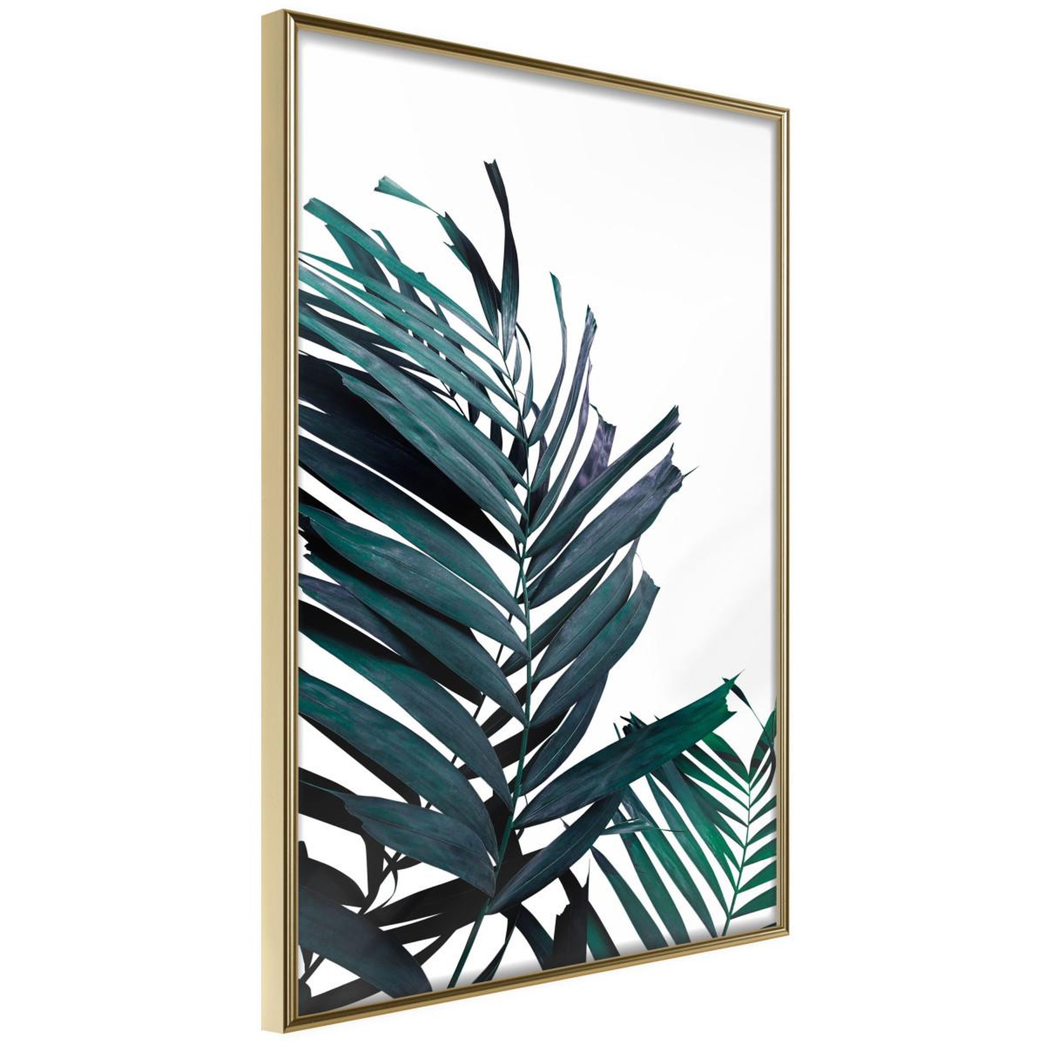 Paris Prix Affiche murale encadrée  evergreen palm leaves