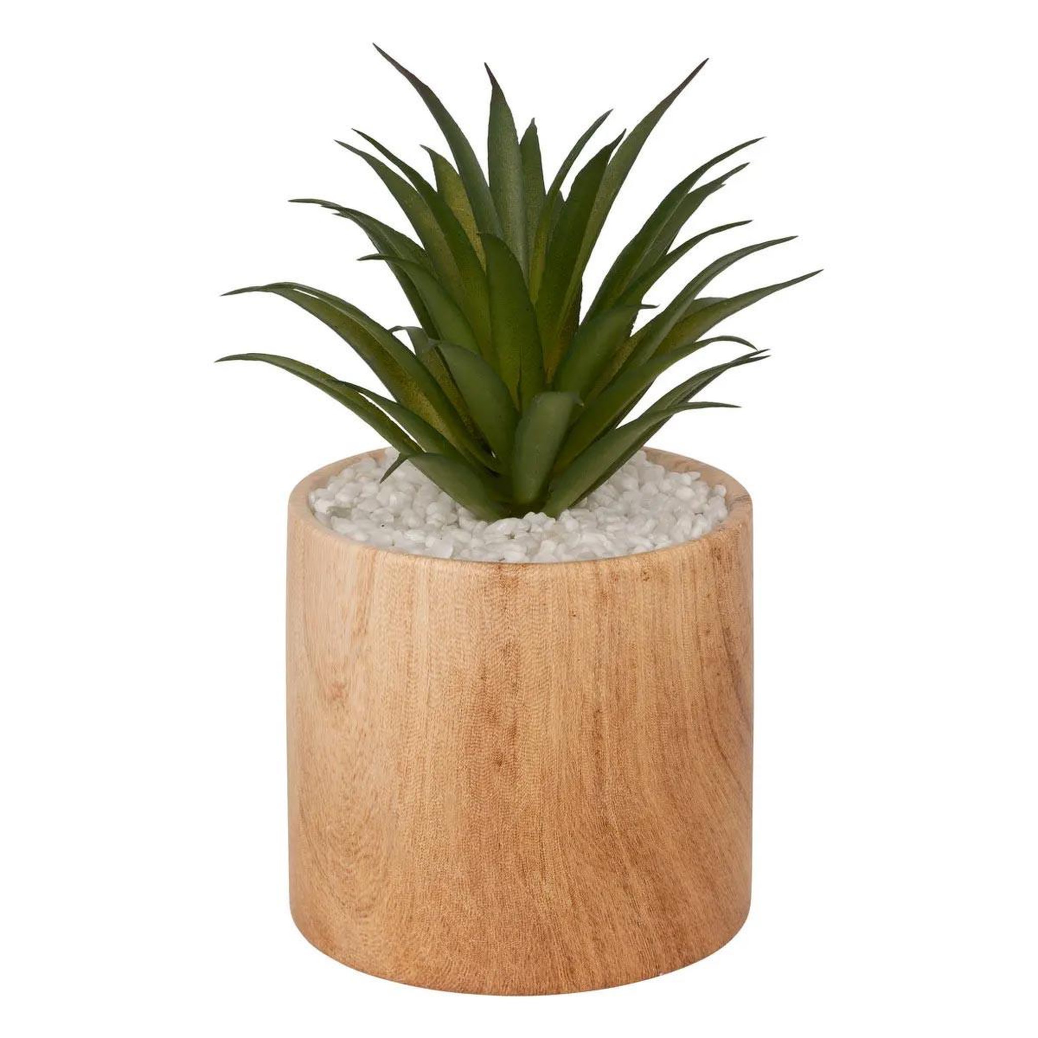 ATMOSPHERA Plante artificielle en pot  sao  17cm marron