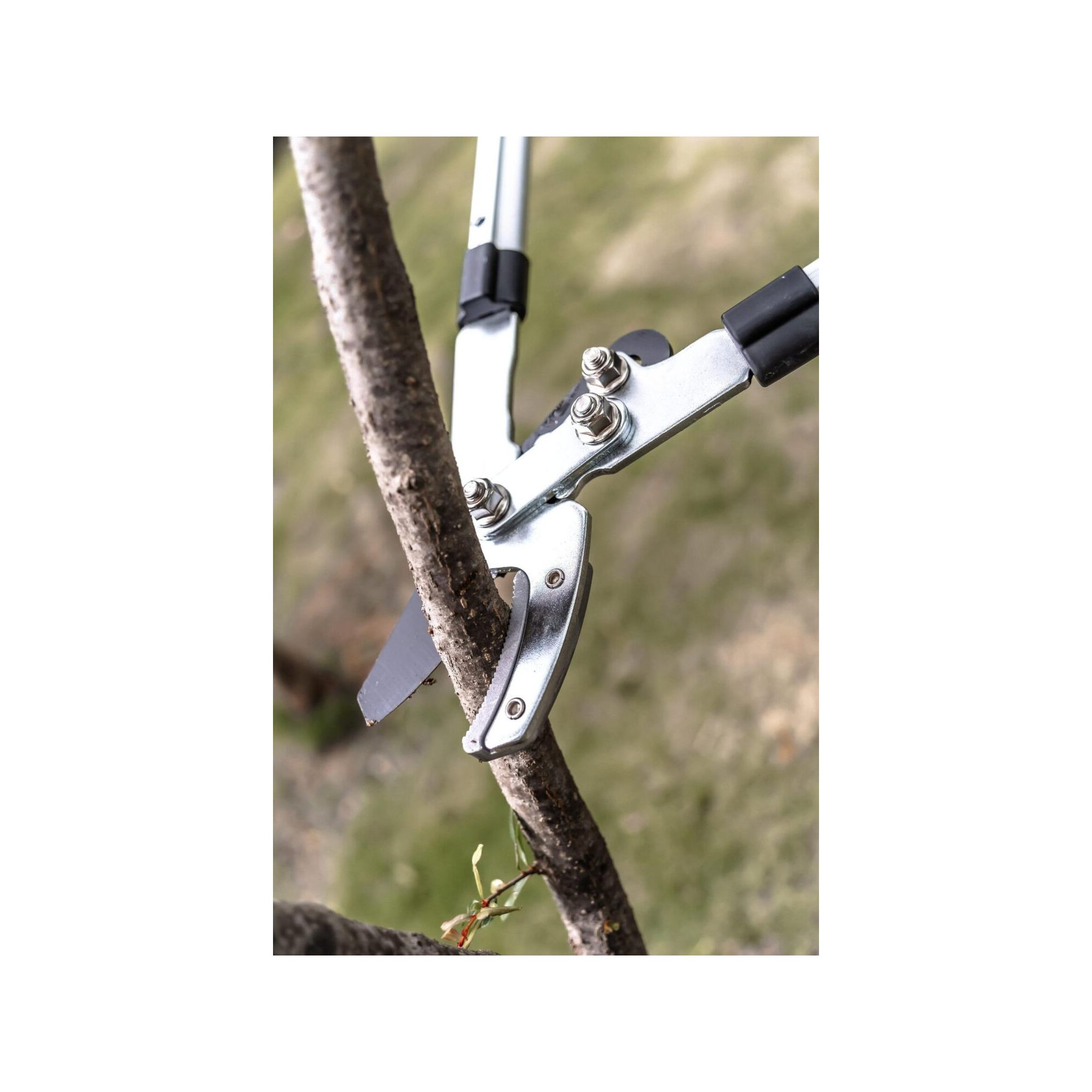 Voir la diapositive 3 : SUAN Coupe branche lame enclume - suan - manche télescopique - dimensions : 88,5 x 30,5 x 3 cm