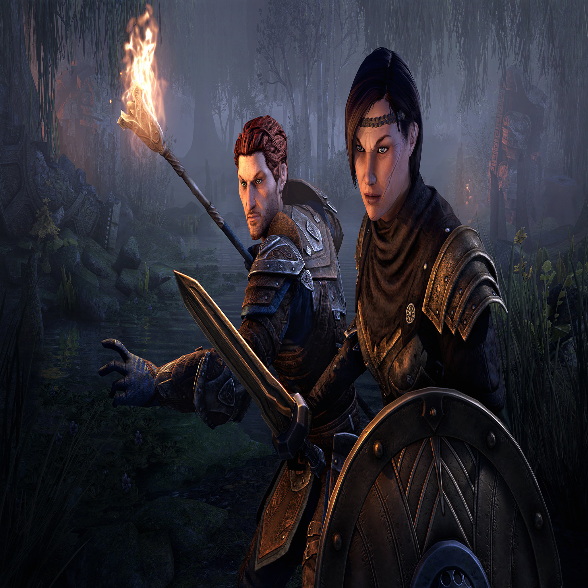 Voir la diapositive 6 : The Elder Scrolls Online Blackwood Collection PS4
