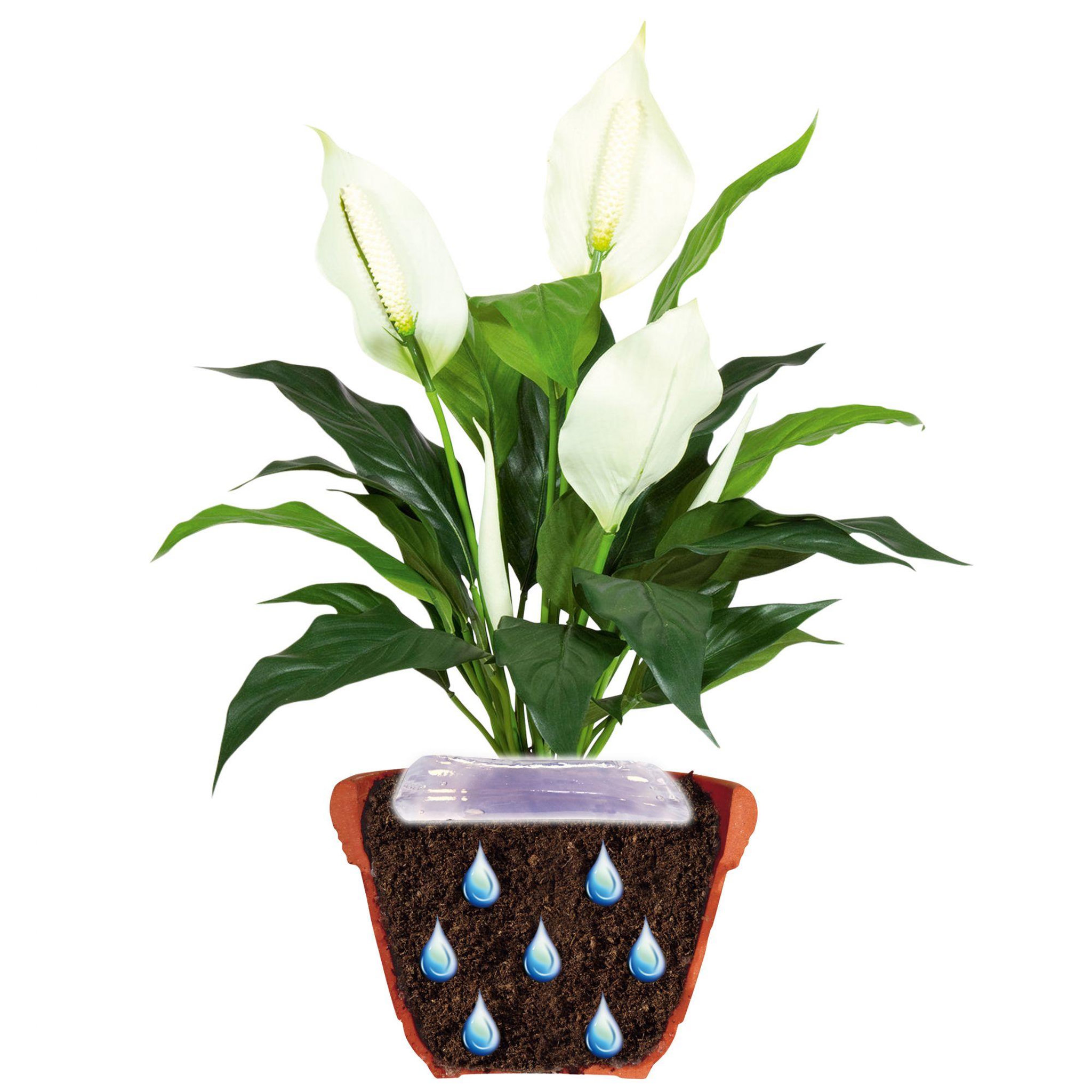 Voir la diapositive 2 : Jardibric Gel d'arrosage pour plantes et fleurs 400 ml