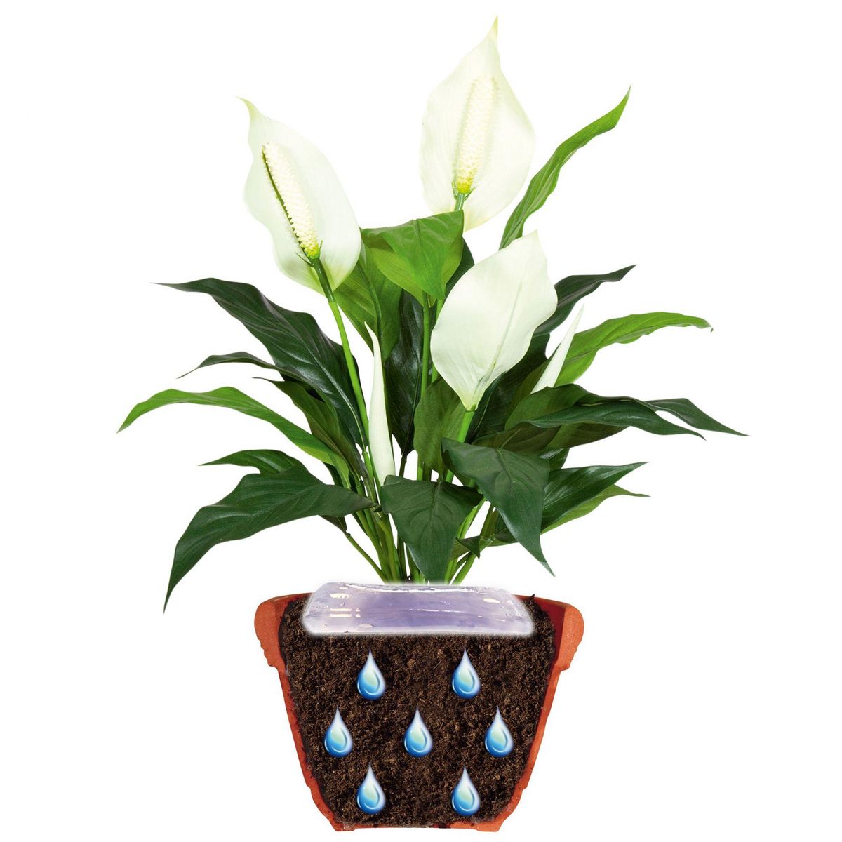 Jardibric Gel d'arrosage pour plantes et fleurs 400 ml