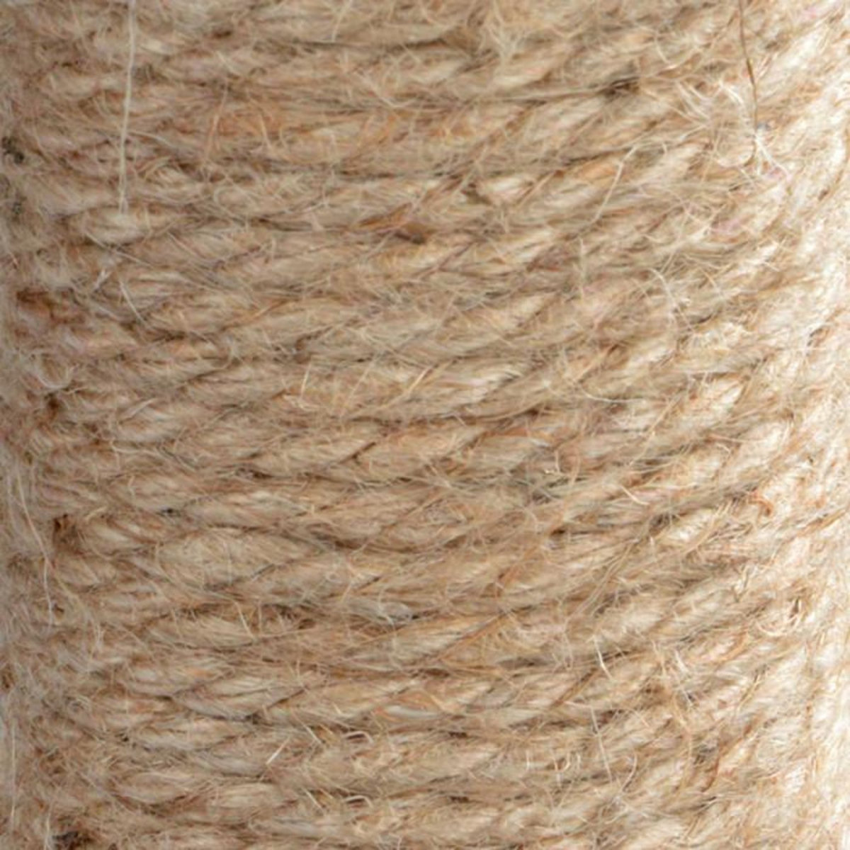 Paris Prix Arbre à Chat  6 Positions en 1  118cm Anthracite