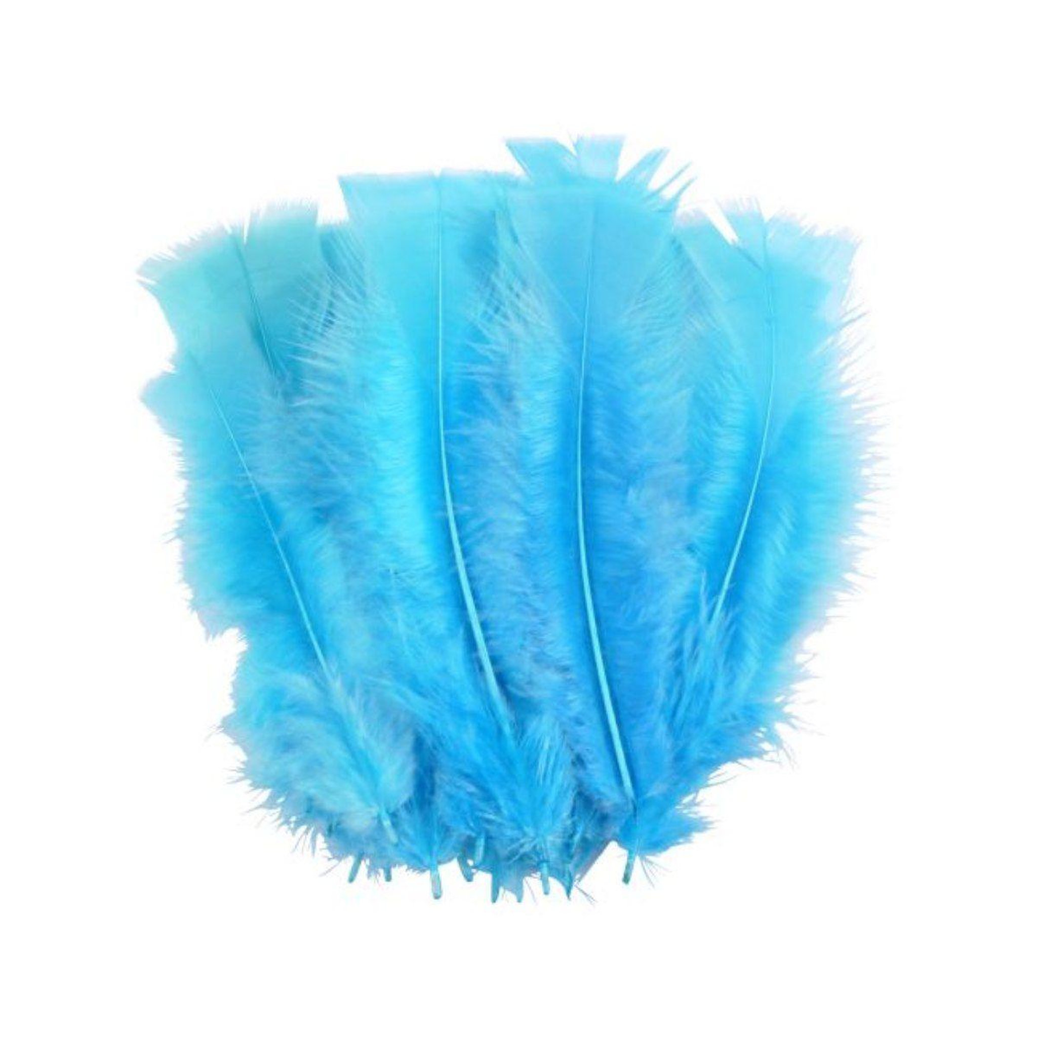 Voir la diapositive 1 : HOMEA Lot de 35 Plumes Décoratives  Sensa  16cm Turquoise