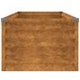 Voir la diapositive 5 : VIDAXL Jardiniere surelevee 100x50x36 cm Acier Corten