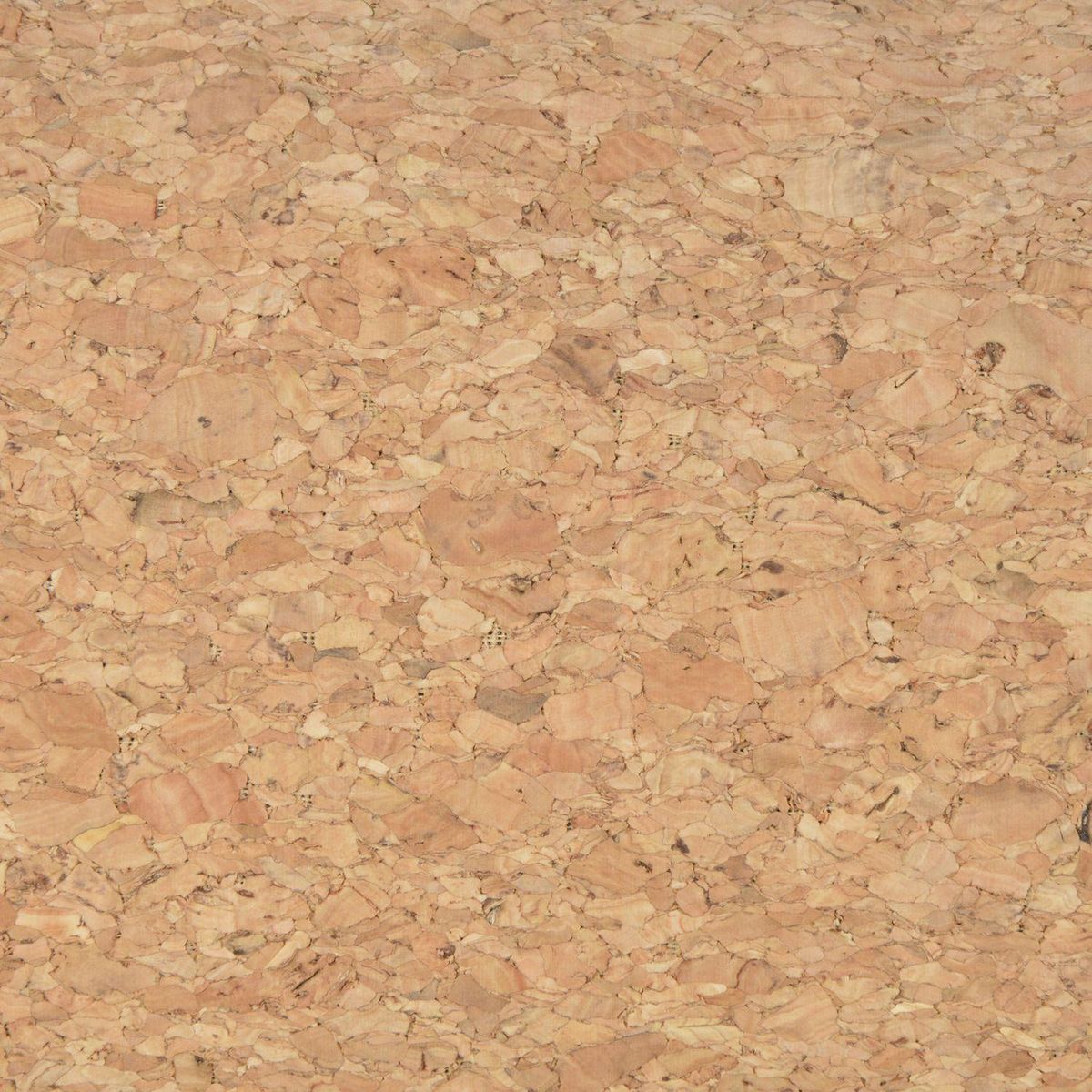 LOVE STORY Coussin rectangle en liège et polyester pour chien - Long 90 cm