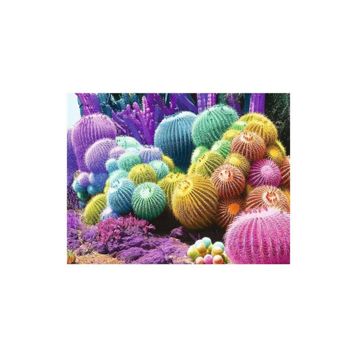 Nathan Puzzle 2000 pièces Nathan