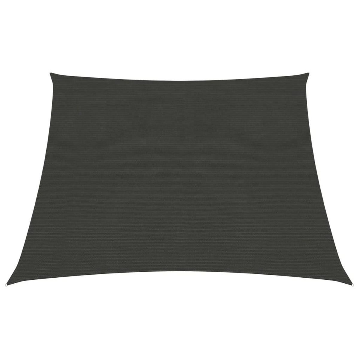VIDAXL Voile d'ombrage 160 g/m^2 Anthracite 3/4x3 m PEHD