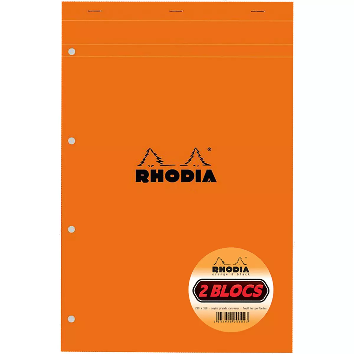 RHODIA Blocs notes 22.3x29.7cm - 80 pages - Grands carreaux Seyes