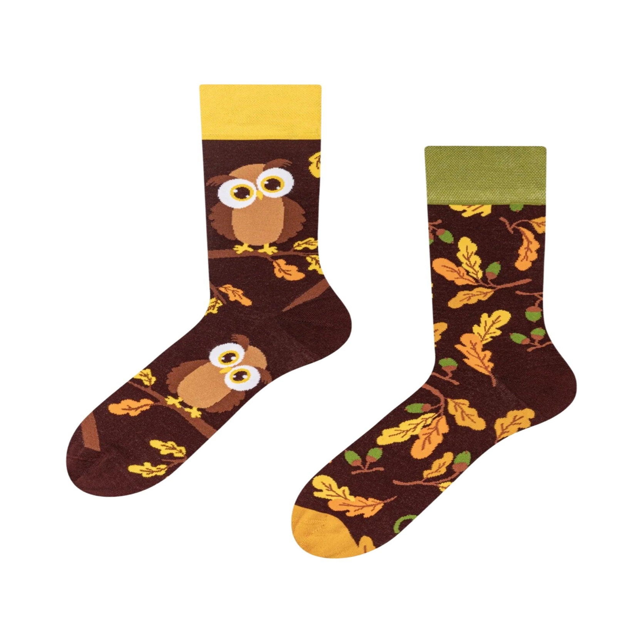 DEDOLES Chaussettes hibou curieux
