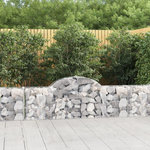 VIDAXL Paniers a gabions arques 2 pcs 200x30x60/80 cm Fer galvanise