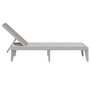 Voir la diapositive 5 : VIDAXL Chaise longue gris 186x60x29 cm PP