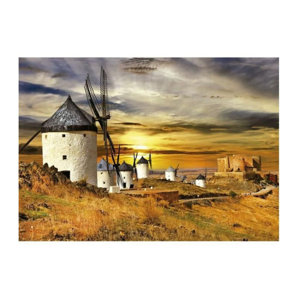 EDUCA MOULINS a VENT, CONSUEGRA - Puzzle de 1500 pieces