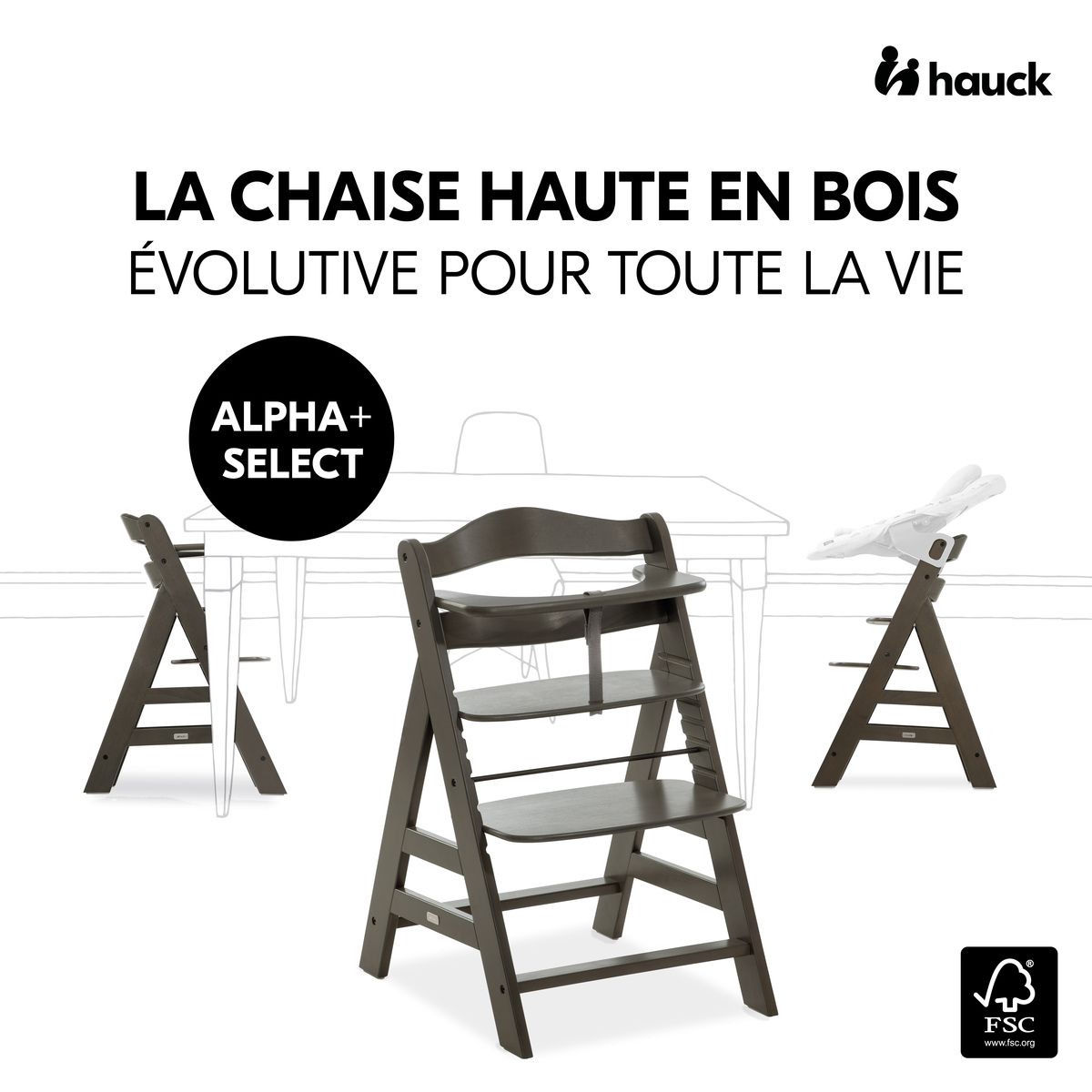 HAUCK Chaise haute en bois Alpha Select gris foncé
