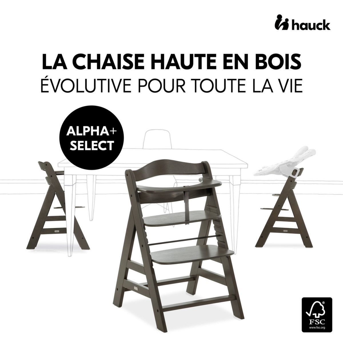 HAUCK Chaise haute en bois Alpha Select gris foncé
