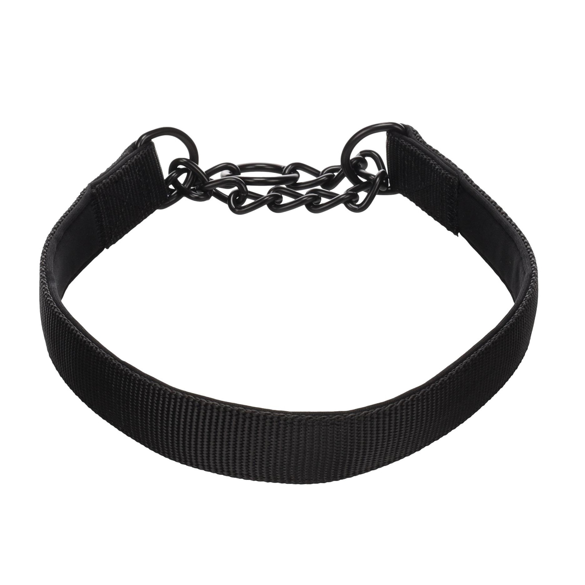 Voir la diapositive 3 : Eden Collier anti traction trero