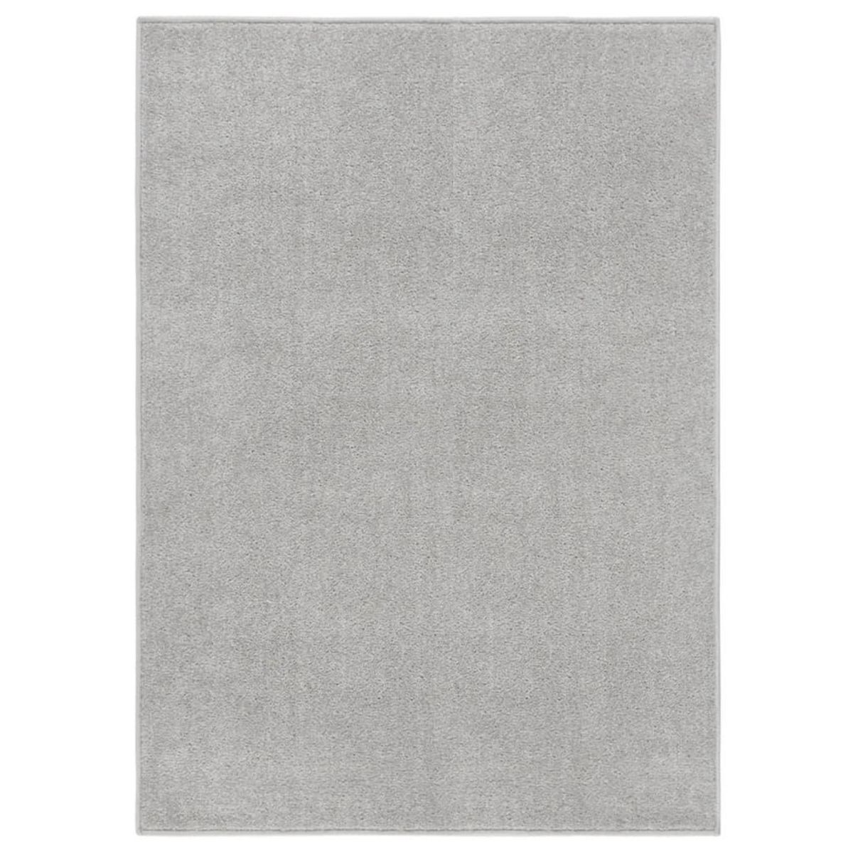 VIDAXL Tapis a poils courts 120x170 cm Gris clair