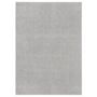 Voir la diapositive 1 : VIDAXL Tapis a poils courts 120x170 cm Gris clair